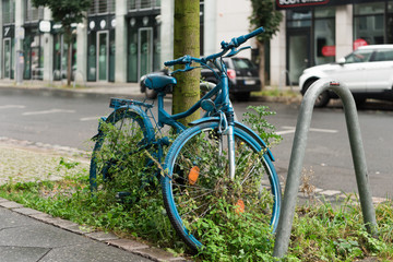bicycle near the road