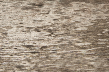 Texture of old wood for natural background.