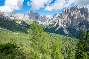 Fototapeta na wymiar Catinaccio mountain massif as seen from the road to Passo Costalungo, Dolomites, Vigo di Fassa, Val di Fassa, Trentino, Alto Adige, South Tyrol, Italy