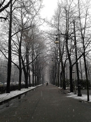 parque del valentino de invierno