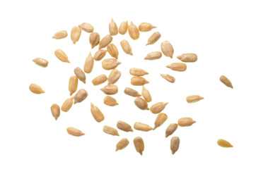 Isolate shelled sunflower seeds, isolate hulled sun flower seeds, a top view close up photo image of group of peeled sunflower seeds isolate on a bright white light background