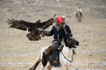 Mongolia. Traditional Golden Eagle Festival. Unknown Mongolian Hunter  ( Berkutchi ) On Horse With Golden Eagle. Falconry In West Mongolia - 192606746