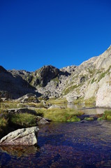 Ruisseau d'eau de montagne verte des pyrénées