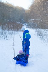 Fototapeta na wymiar Boy pulling his little sister on a sled