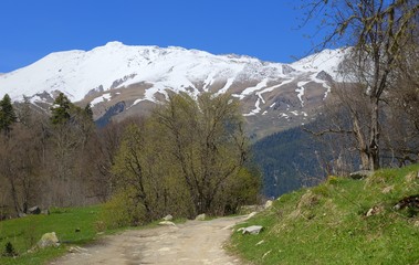 Spring in mountains