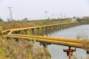 Oil pipelines, in oil fields