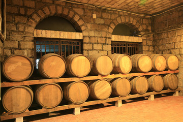 Many barrels are placed in the wine cellar