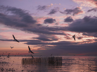 Birds are flying over the river at sunset