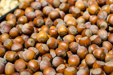 Hazelnuts on display in their shells