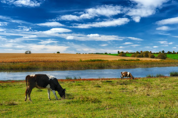 autumn day. the picturesque sky above the river