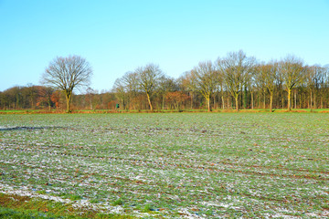 Idyllic landscape near Warendorf in Muensterland, Westphalia, Germany