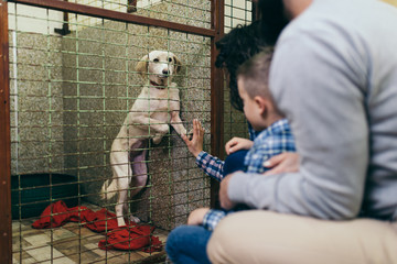 Happy family at animal shelter choosing a dog for adoption.