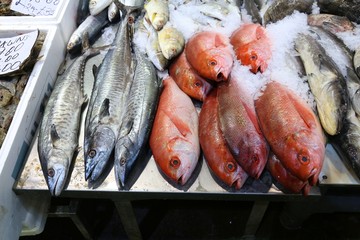 Billingsgate Fish Market