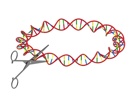 Scissors cutting DNA