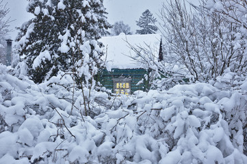 Russian lone wooden house lost among trees, bushes and snowdrifts under snowfall, window glowing