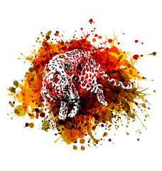 Vector color illustration jaguar © onot