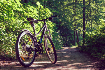 Fototapeta na wymiar Female mountain bike in a forest