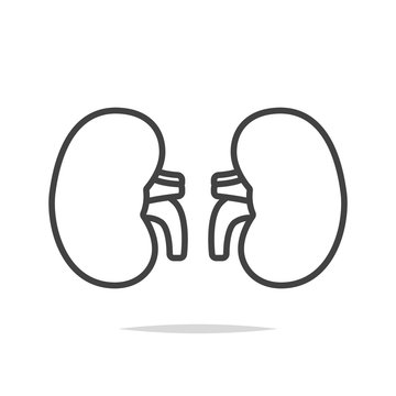 recommend clip art: Kidney icon vector isolated