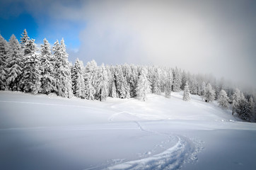 Winterlandschaft am Morgen
