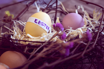 easter eggs in a nest