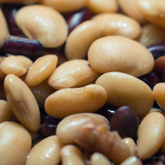 Close up of  multicolored  beans