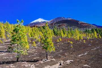 Wulkan Teide, Teneryfa, Wyspy Kanaryjskie © TOP67