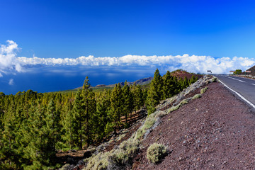 Krajobraz pod wulkanem Teide, Teneryfa, Wyspy Kanaryjskie