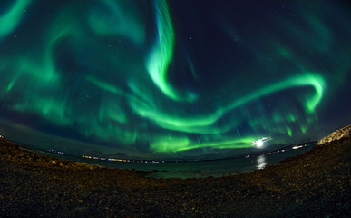 Fototapeta na wymiar Aurora Northern Lights Covering the Sky