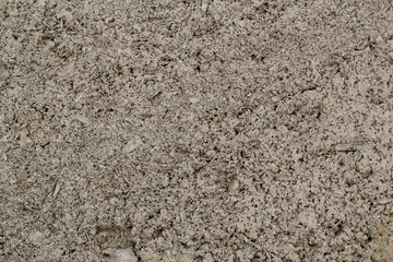 The Cement Texture