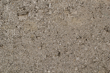 The Cement Texture