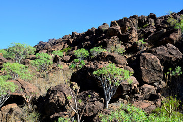 La Gomera: hike from Playa de Santiago to San sebastian