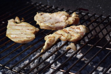 chicken breasts on grill