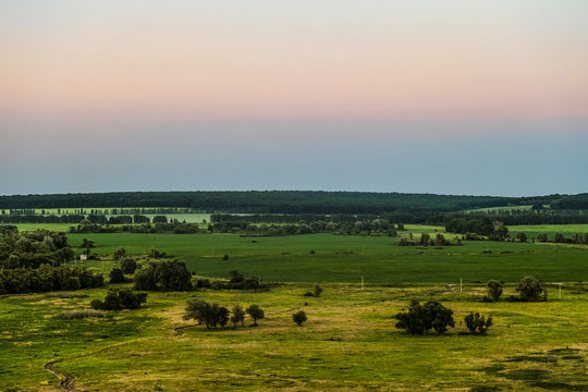 View of green forest-steppe plain. Green landscape from height. Evening time.