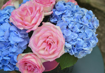 bouquet of pink roses and blue hydrangea