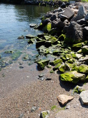 eau, nature, pierre, fleuve, rocher, paysage, rocher, ruisseau, vert, mer, pierre, plage, côte, été, forêt, lac, gazon, étang, montagne, vue, ruisseau, voyage, ciel, beauté, mousse