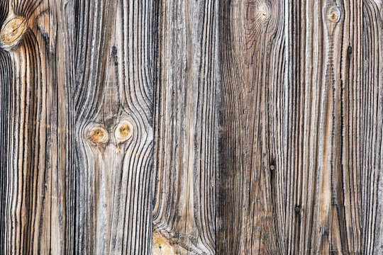 holz background
