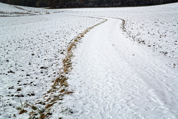 Winterliche Wiese mit einem gewundenen Feldweg