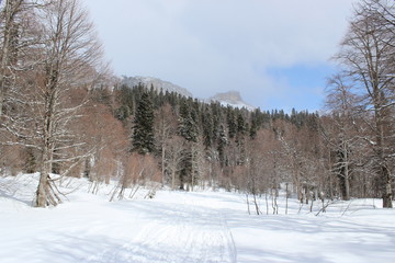 winter in mountains