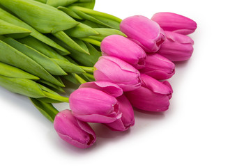 tulips on isolated white background