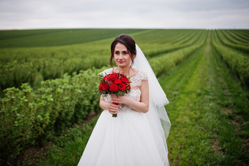 Portrait of a gentle beautiful bride posing with her red wedding bouquet in green blackcurrant field.