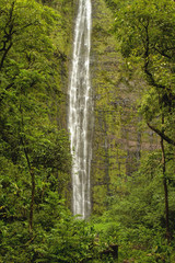 Waimoku Falls in Haleakala State Park on Maui.