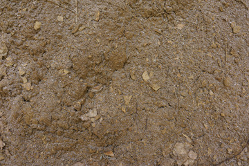 The texture of the earth with a small amount of snow without plants. Brown. Close up. Top view 