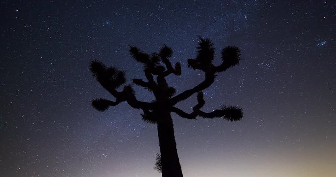 Joshua Trees night 4k 3d moving timelapse. Joshua Tree National Park, California