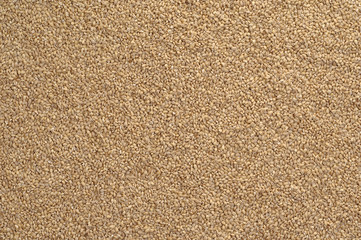 Whole Grains. Top View of Healthy grain foods. Full Frame Texture..