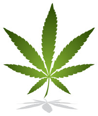 Marijuana leaf vector