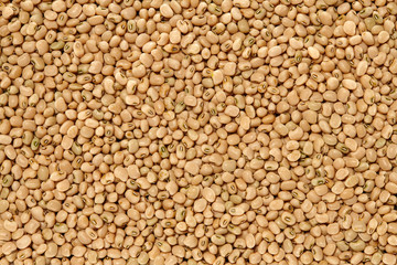 Whole Grains. Top View of Healthy grain foods. Full Frame Texture. Beans.