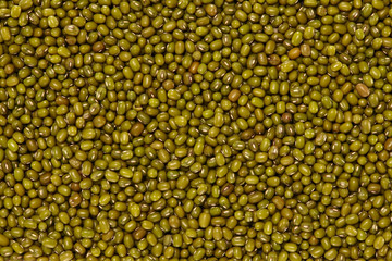 Whole Grains. Top View of Healthy grain foods. Full Frame Texture. Moyashi Beans.