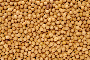 Whole Grains. Top View of Healthy grain foods. Full Frame Texture. Soy Beans.