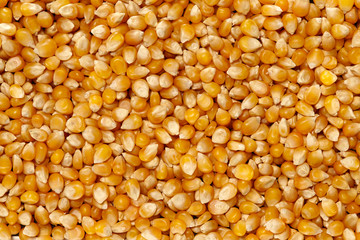 Whole Grains. Top View of Healthy grain foods. Full Frame Texture. Corn.