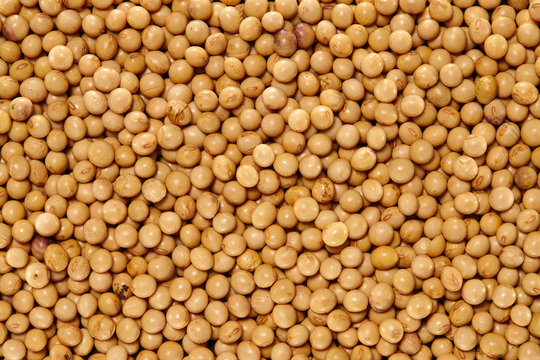 Whole Grains. Top View of Healthy grain foods. Full Frame Texture. Soy Beans.